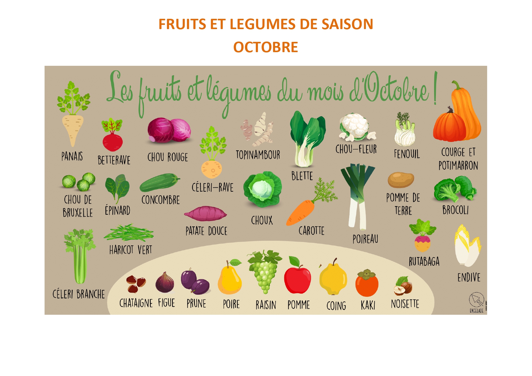 les-fruits-et-l-gumes-du-mois-d-octobre-coll-ge-gilbert-chabroux